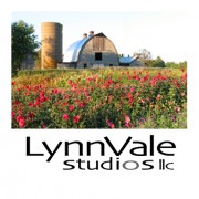 LynnVale Studios
