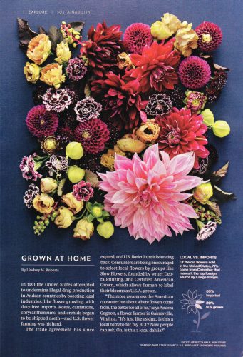 National Geographic - Grown at Home - November 2017, flowers by LynnVale Studios