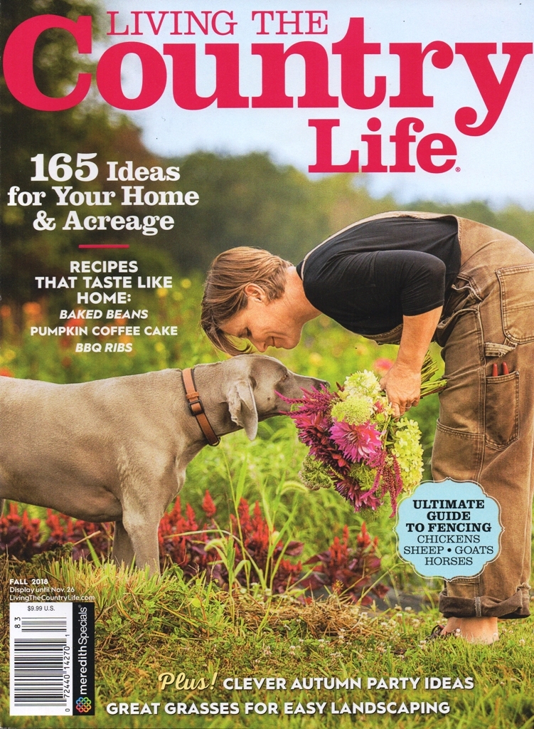 Living the Country Life - November 2019